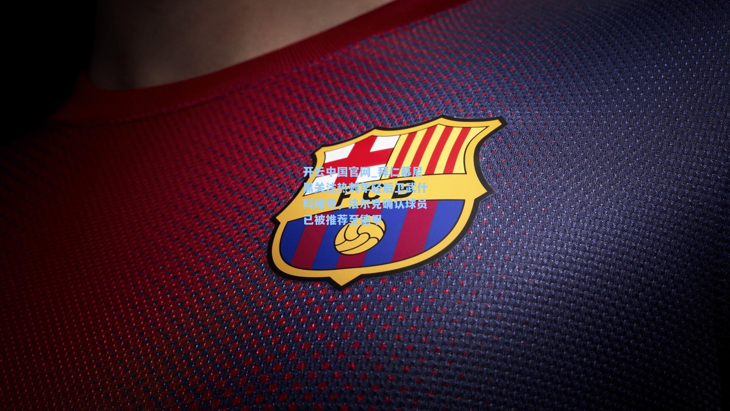 拜仁慕尼黑关注热刺年轻后卫武什科维奇，法尔克确认球员已被推荐至德甲